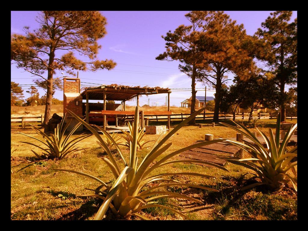 Hostel El Nagual Punta Del Diablo Eksteriør bilde