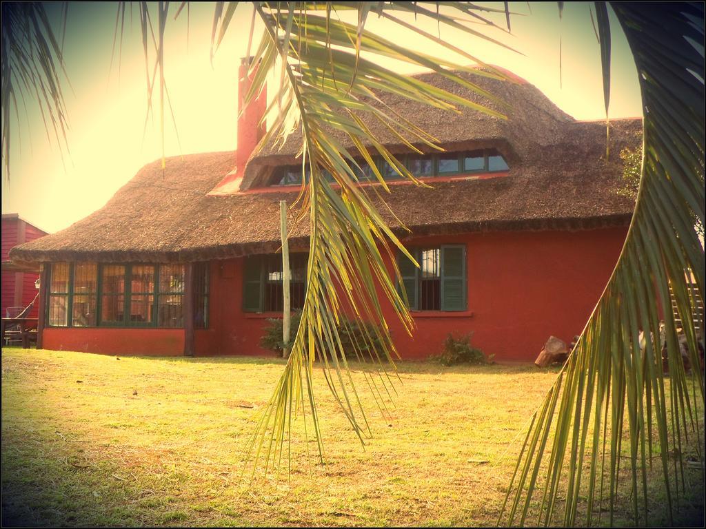 Hostel El Nagual Punta Del Diablo Eksteriør bilde